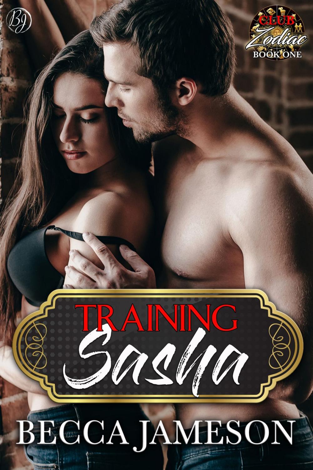 Big bigCover of Training Sasha