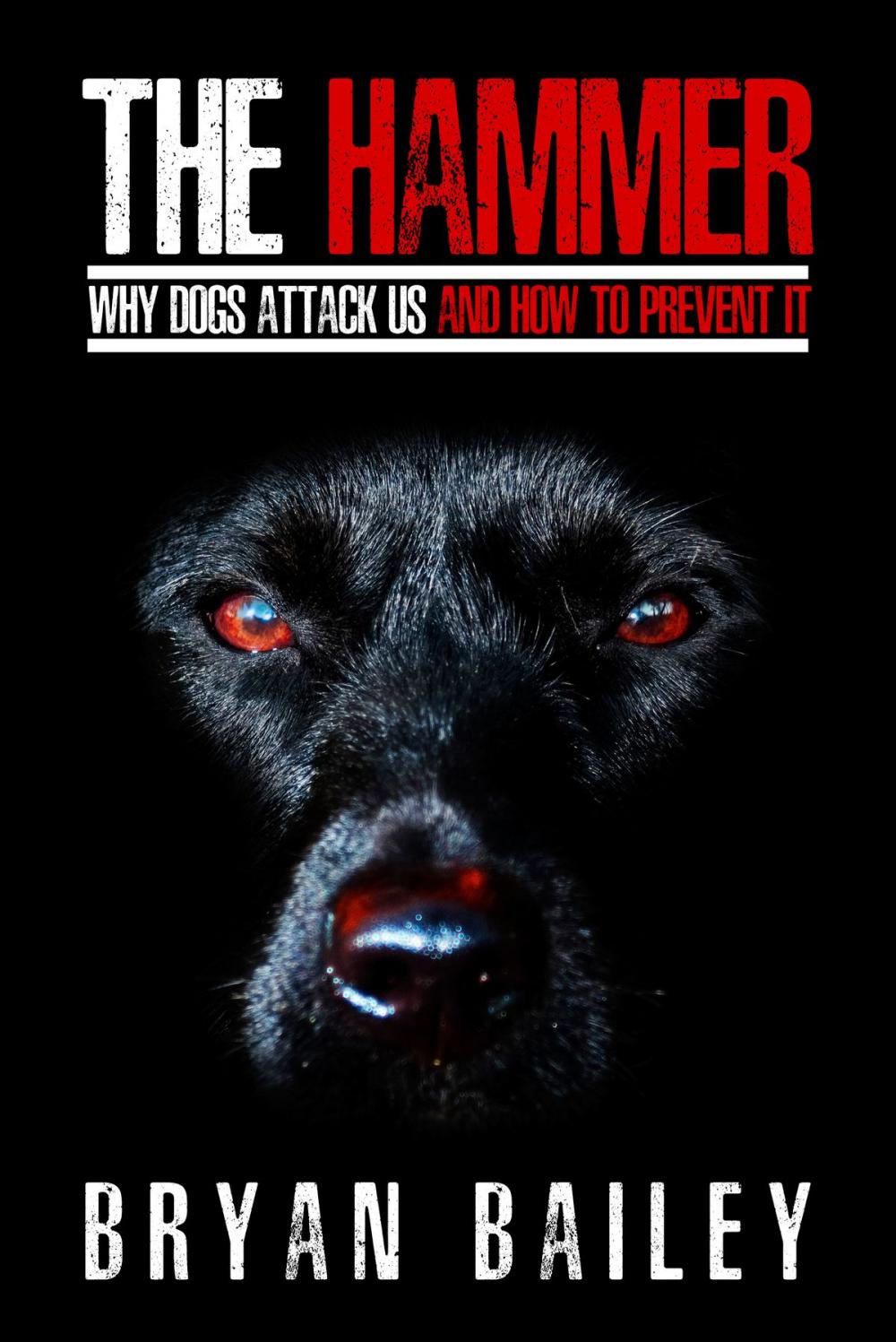 Big bigCover of The Hammer: Why Dogs Attack Us and How to Prevent It