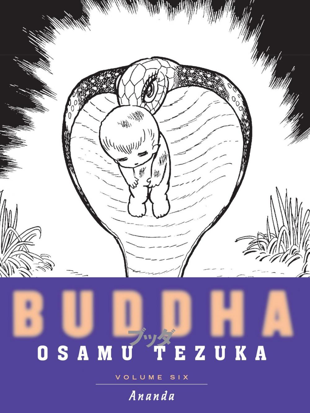 Big bigCover of Buddha: Volume 6: Ananda