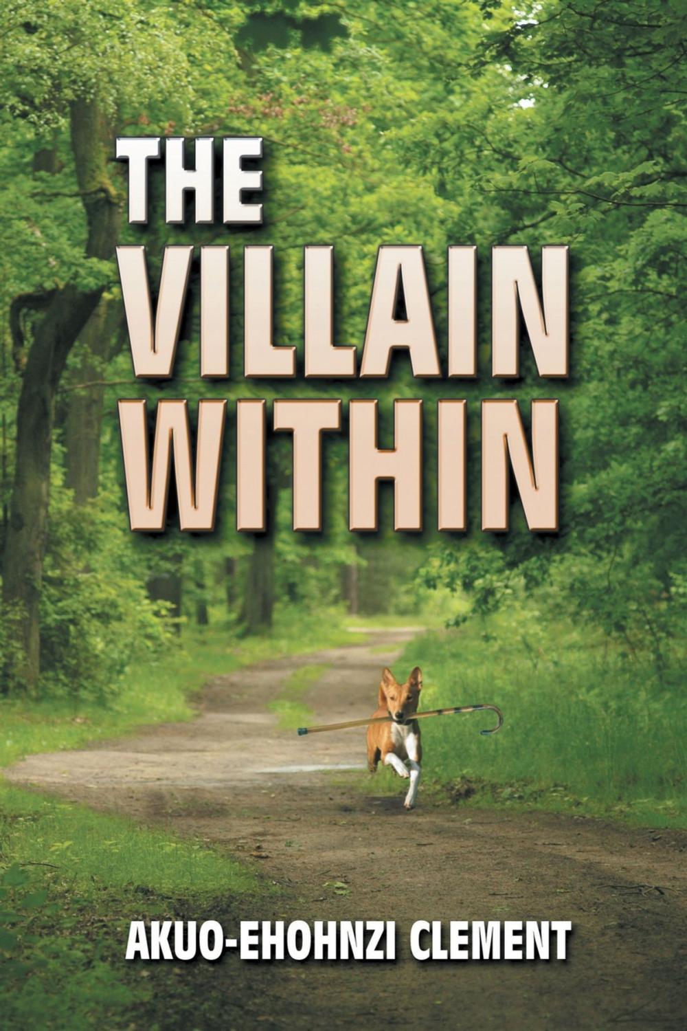 Big bigCover of The Villain Within