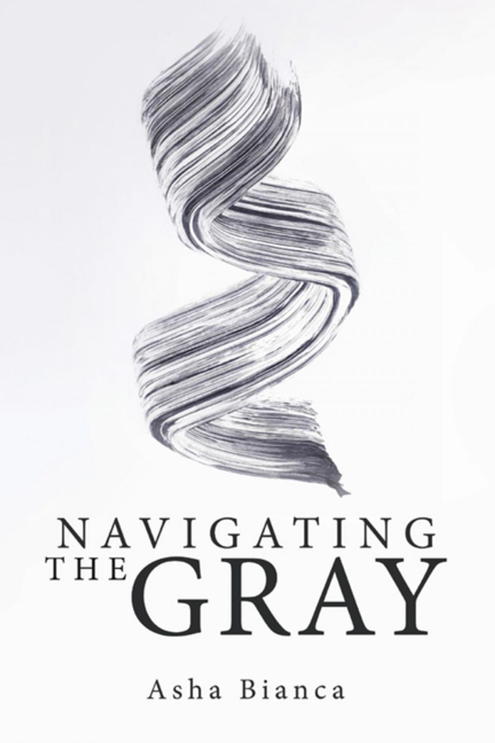 Big bigCover of Navigating the Gray