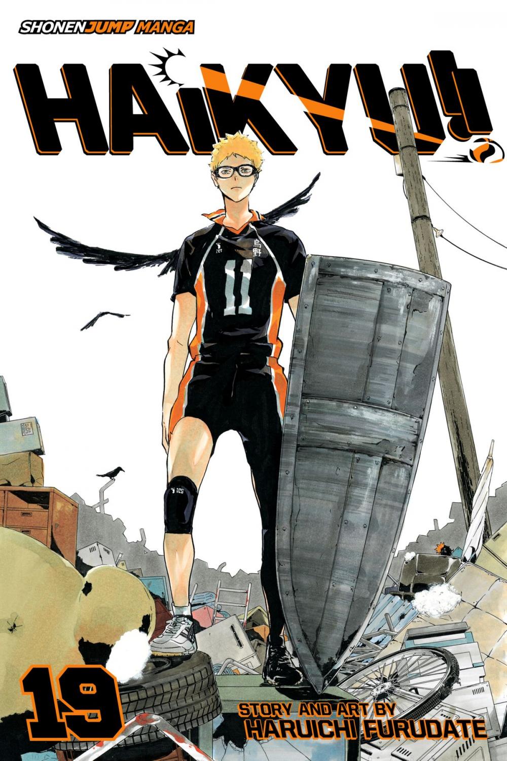 Big bigCover of Haikyu!!, Vol. 19