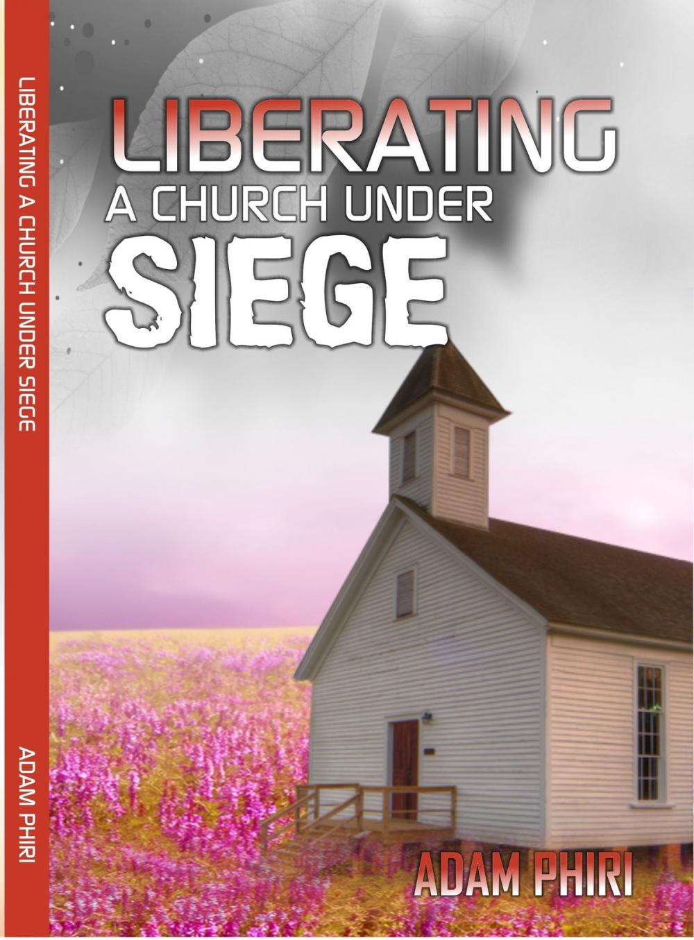 Big bigCover of Liberating a Church under Siege
