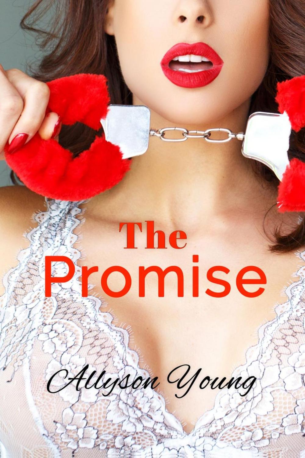 Big bigCover of The Promise