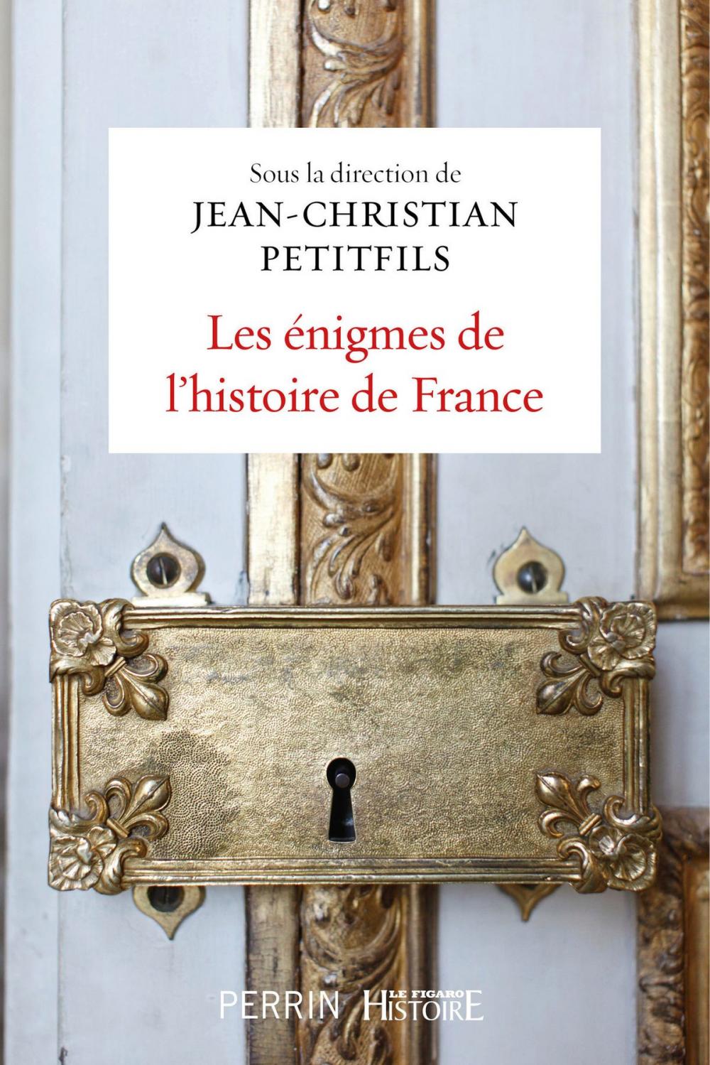 Big bigCover of Les énigmes de l'histoire de France