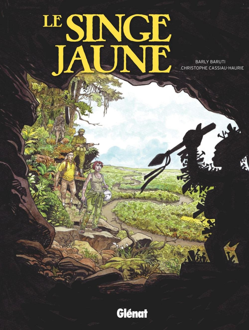 Big bigCover of Le Singe jaune