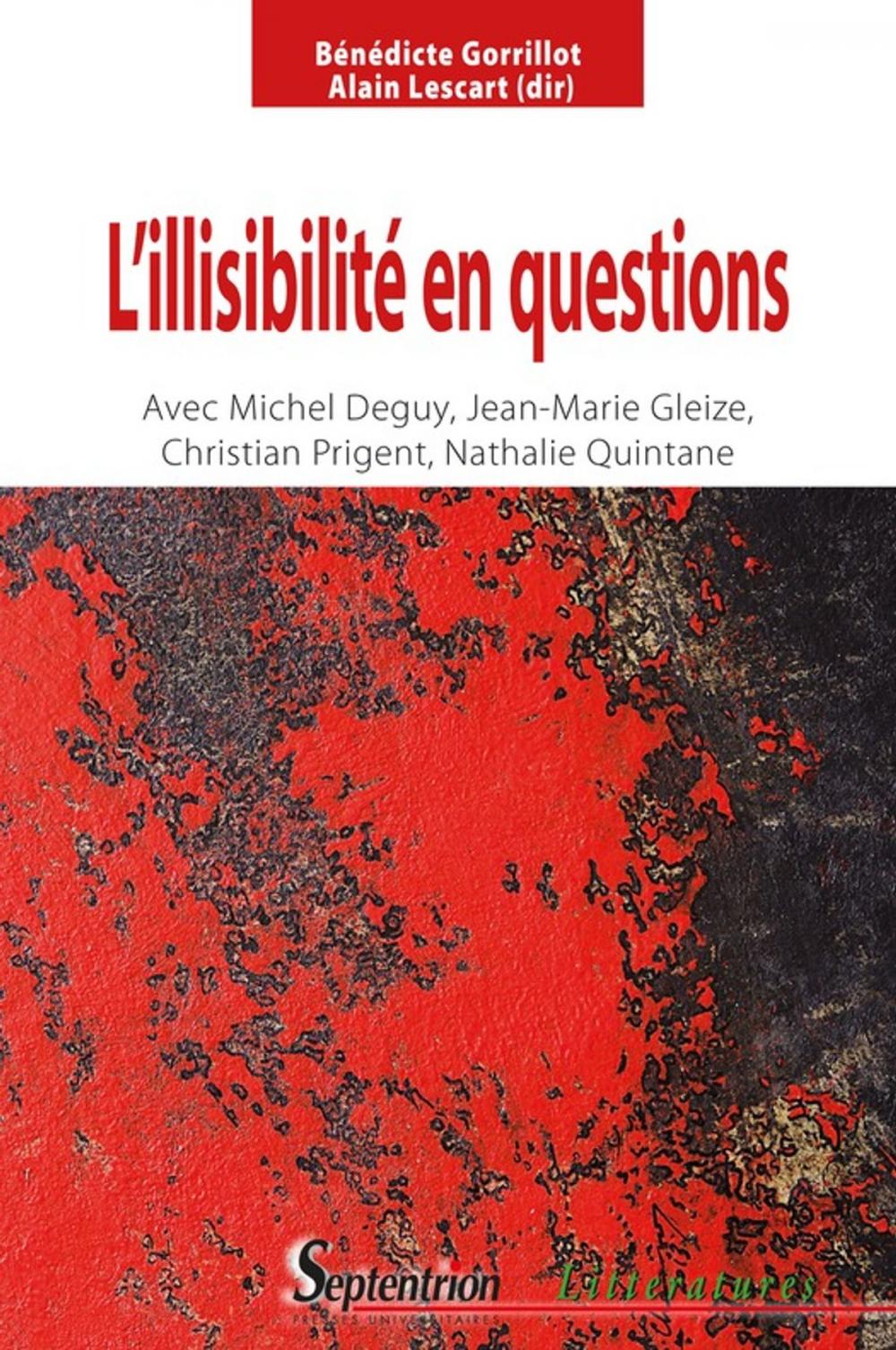 Big bigCover of L'illisibilité en questions