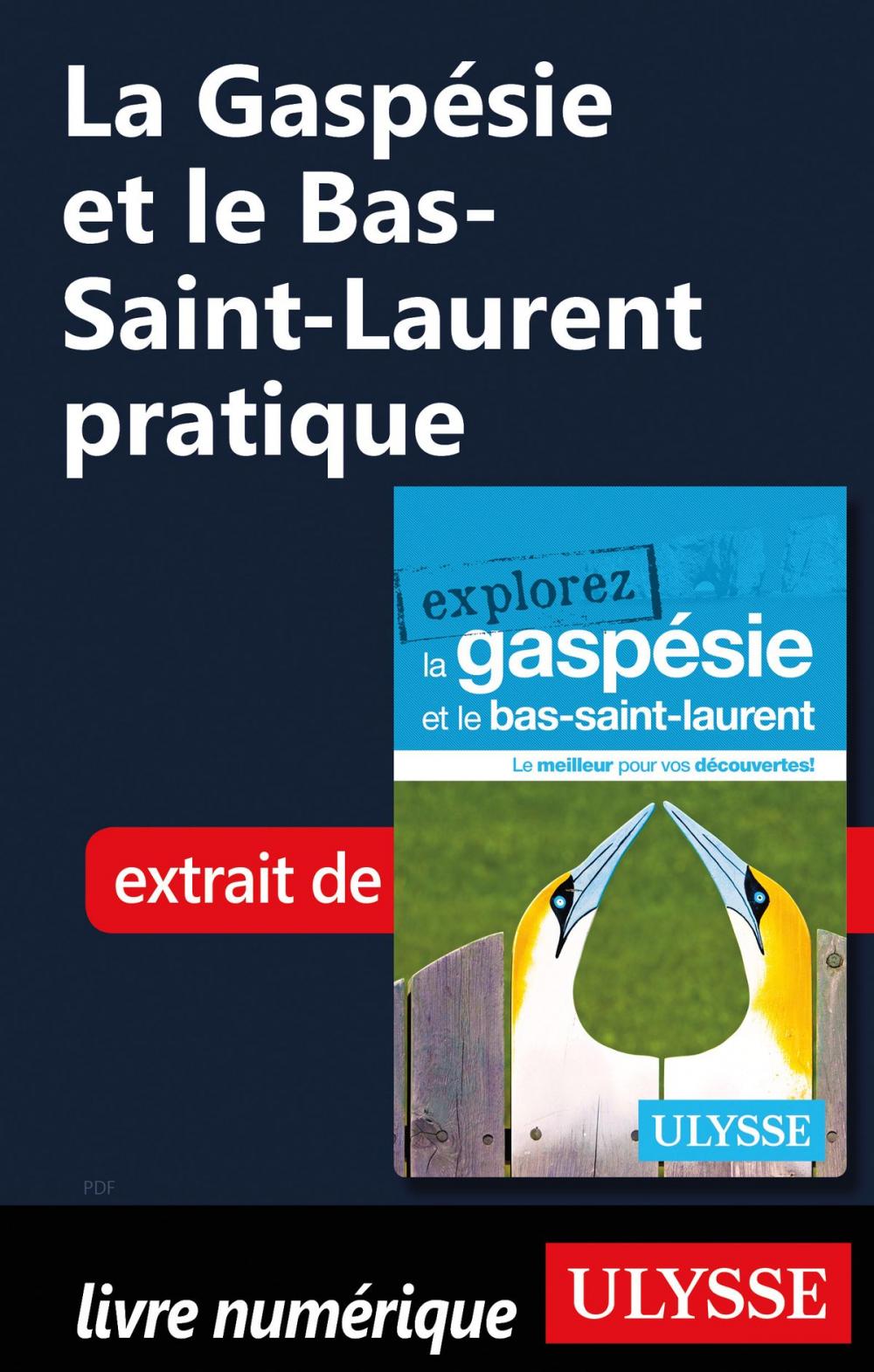 Big bigCover of La Gaspésie et le Bas-Saint-Laurent pratique