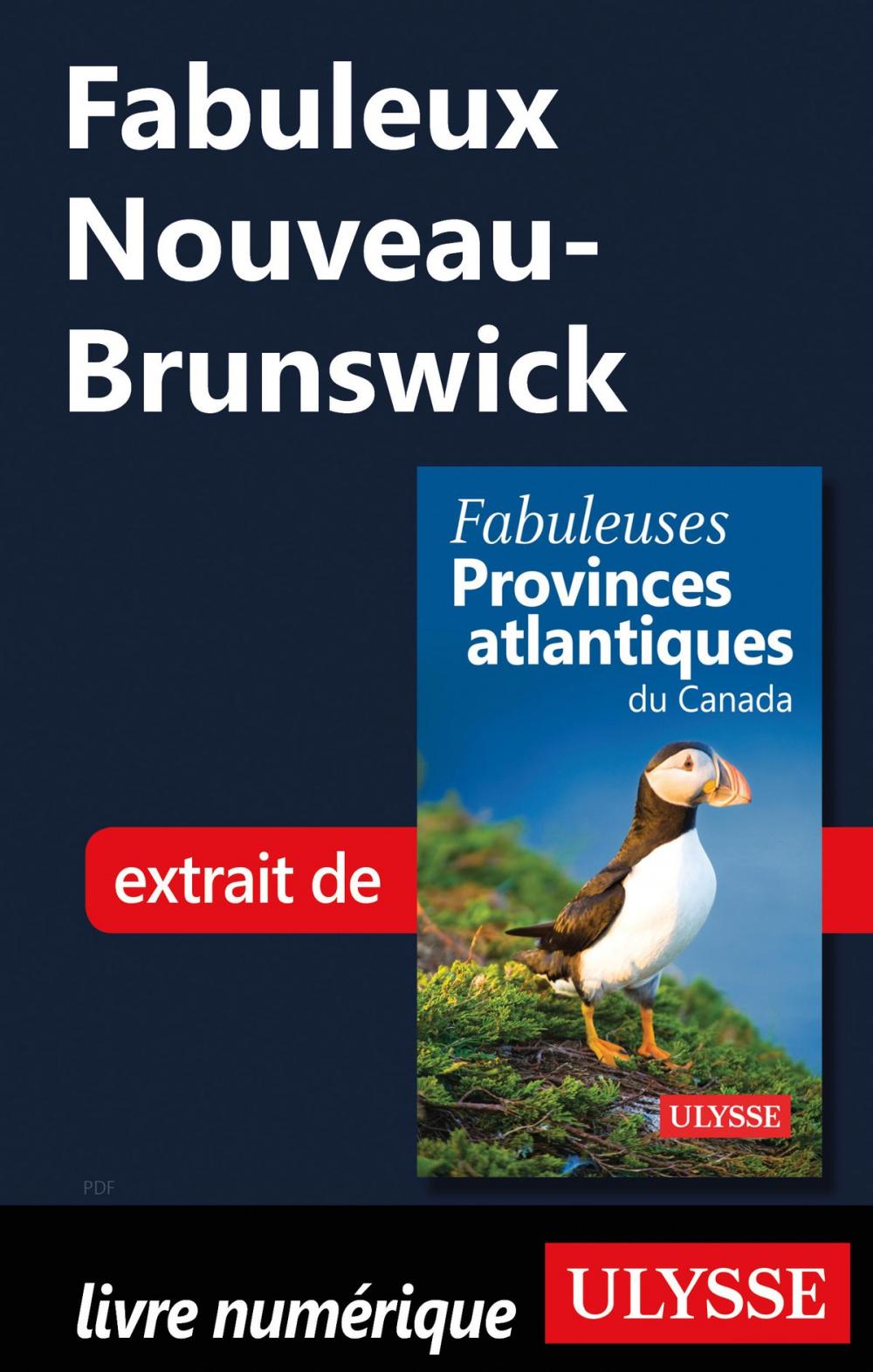 Big bigCover of Fabuleux Nouveau-Brunswick