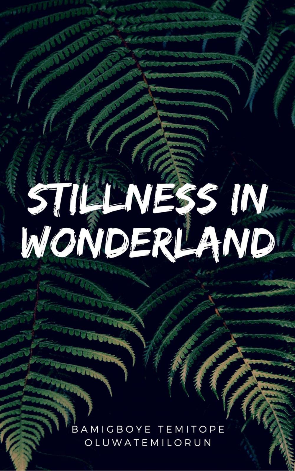 Big bigCover of Stillness In Wonderland