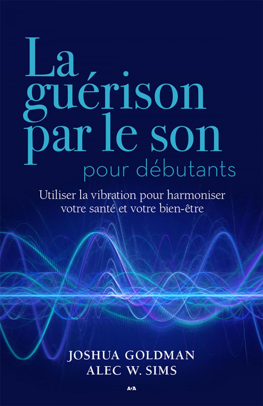 Big bigCover of La guérison par le son pour débutants