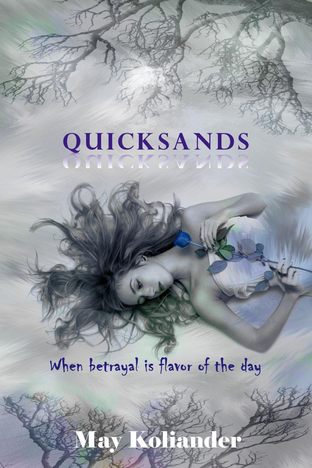 Big bigCover of Quicksands