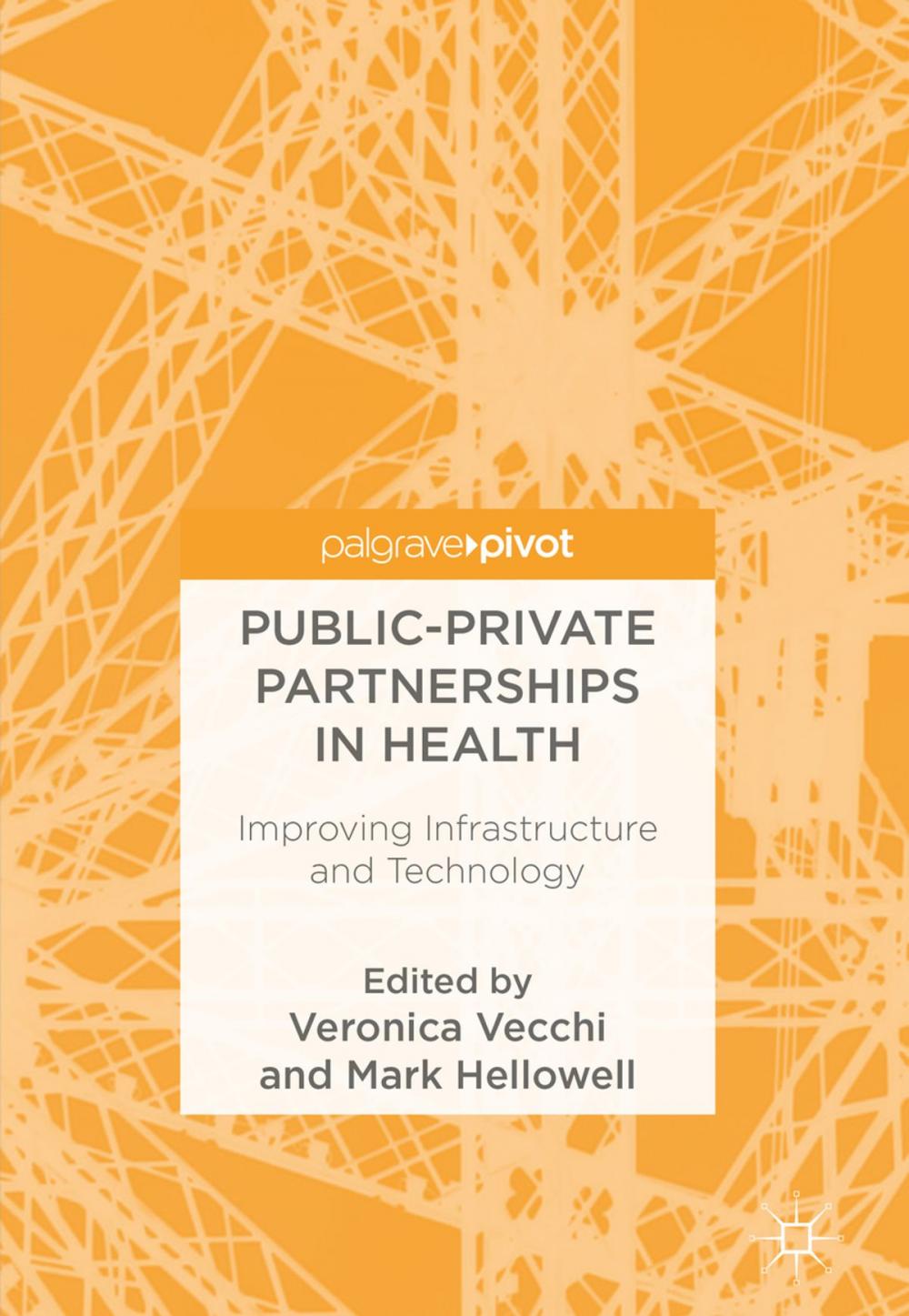 Big bigCover of Public-Private Partnerships in Health