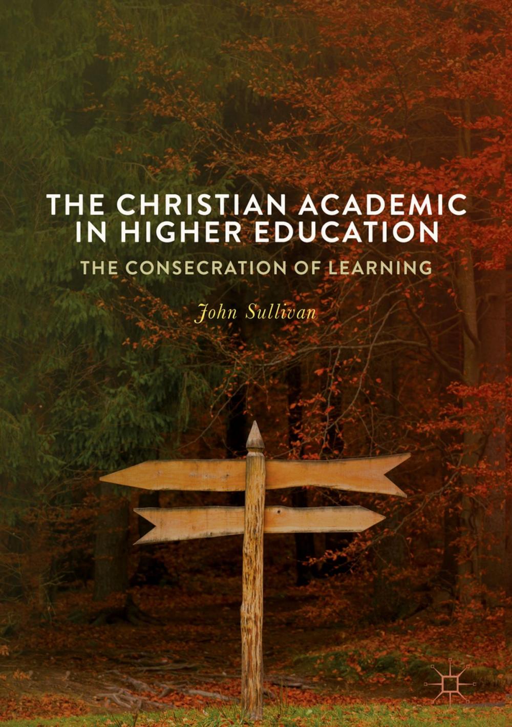 Big bigCover of The Christian Academic in Higher Education