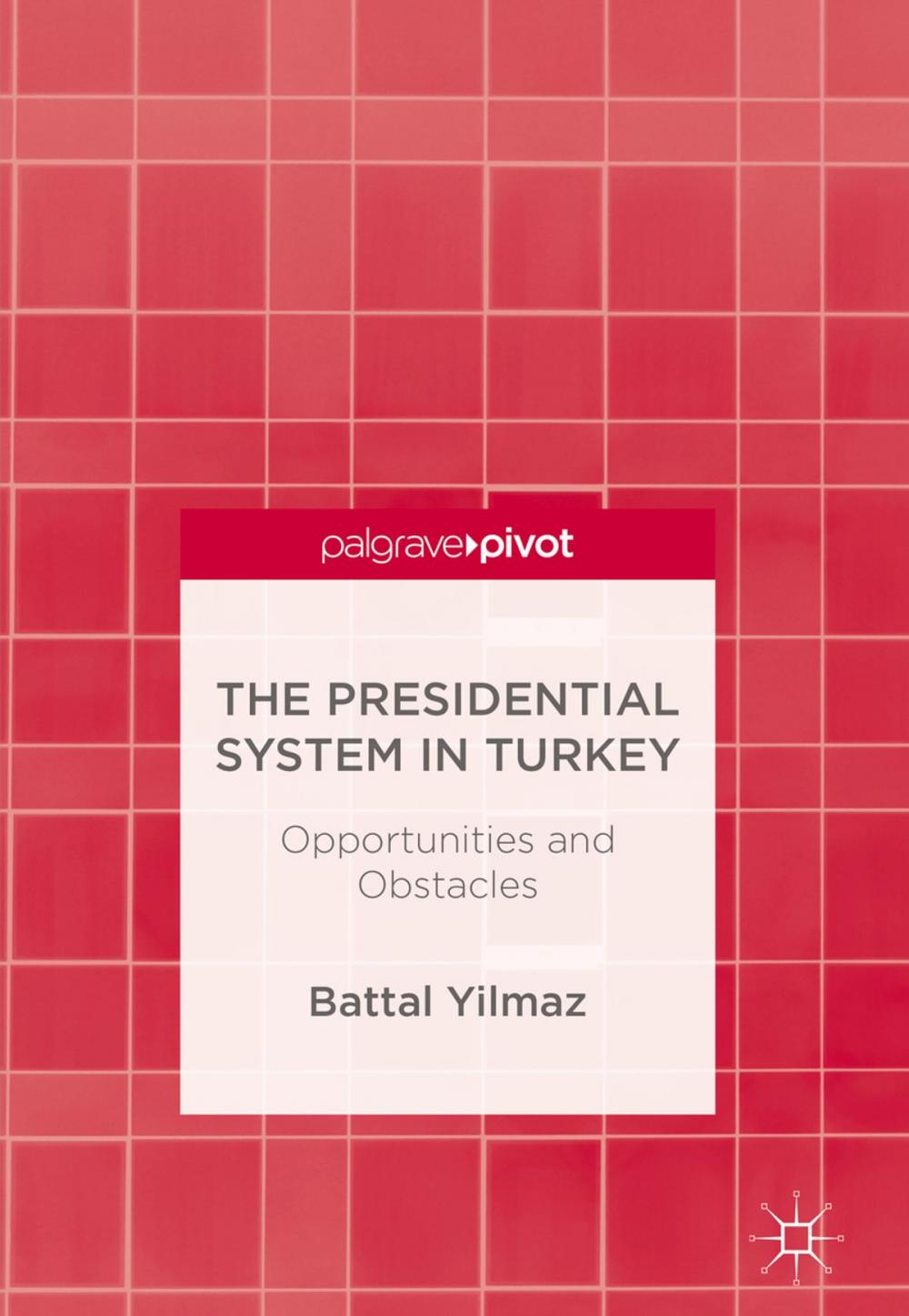 Big bigCover of The Presidential System in Turkey