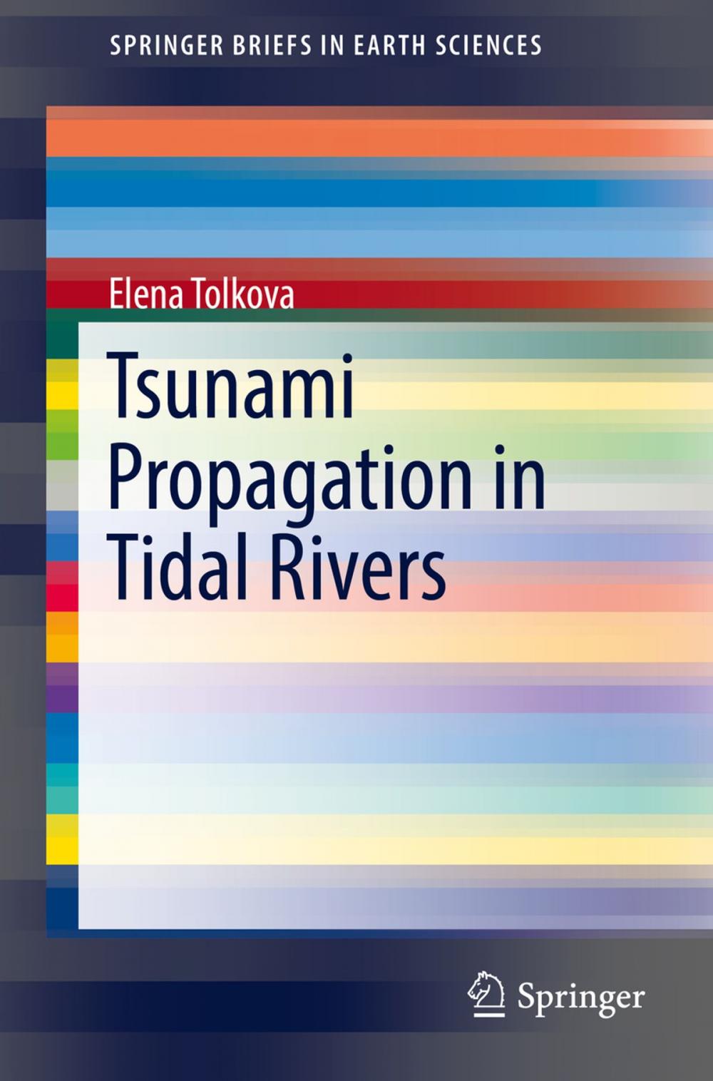 Big bigCover of Tsunami Propagation in Tidal Rivers