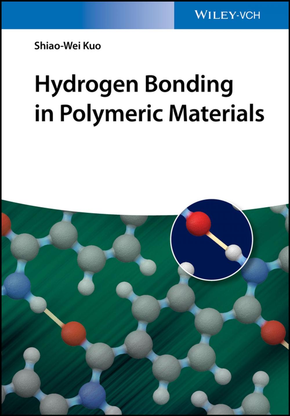 Big bigCover of Hydrogen Bonding in Polymeric Materials