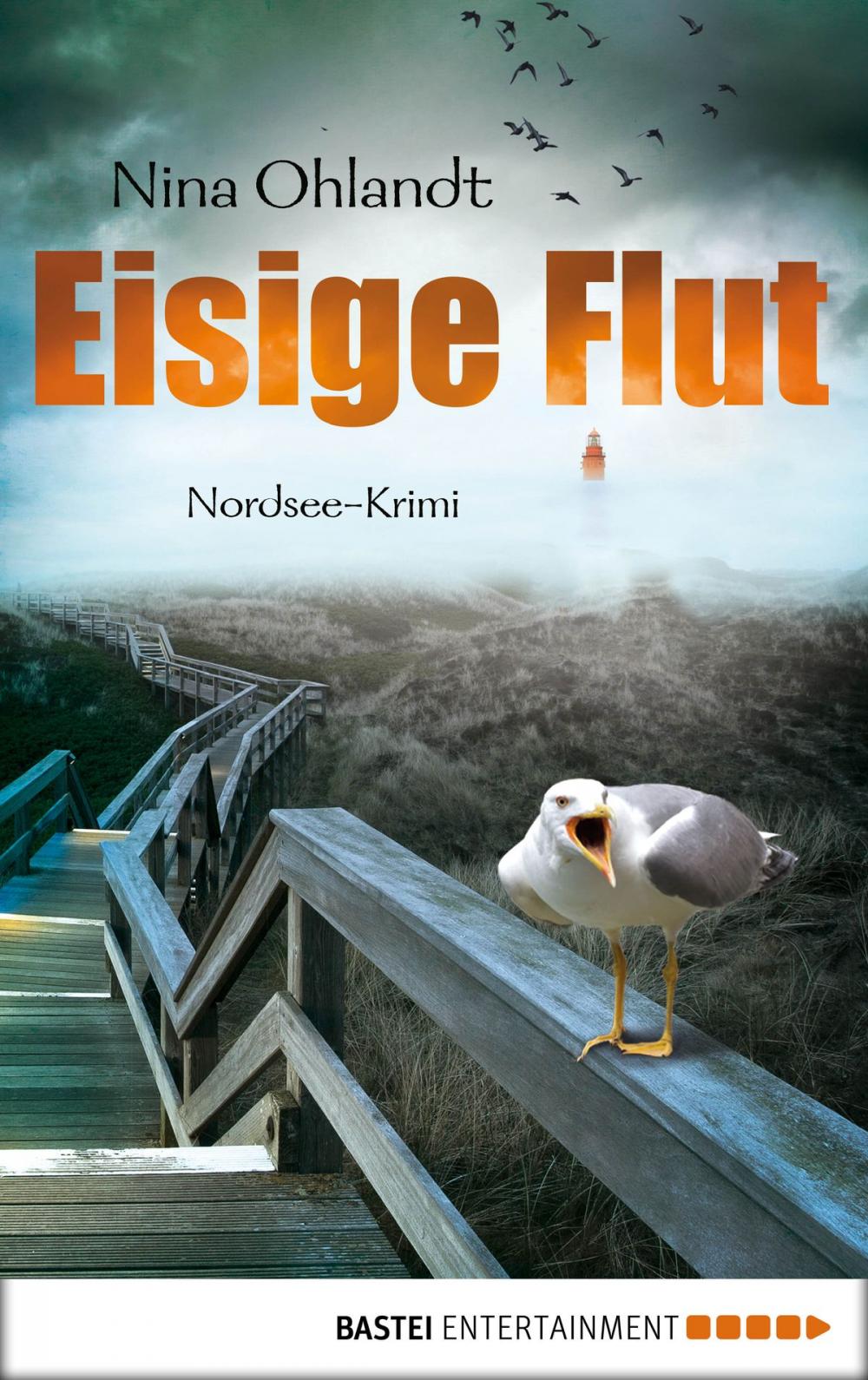 Big bigCover of Eisige Flut