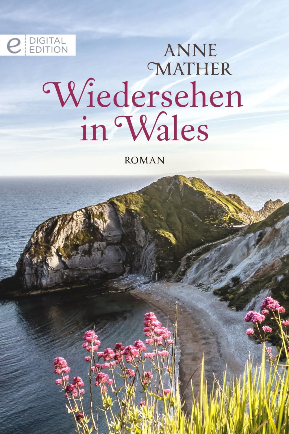 Big bigCover of Wiedersehen in Wales