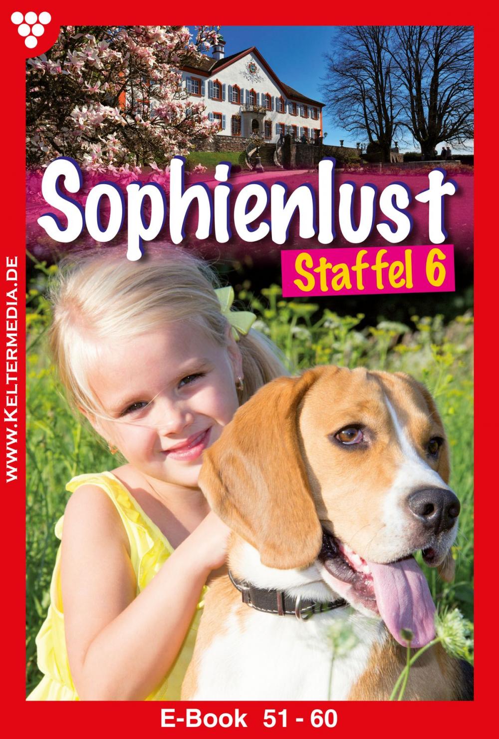 Big bigCover of Sophienlust Staffel 6 – Familienroman