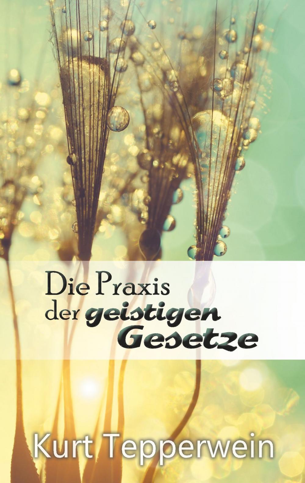 Big bigCover of Die Praxis der geistigen Gesetze