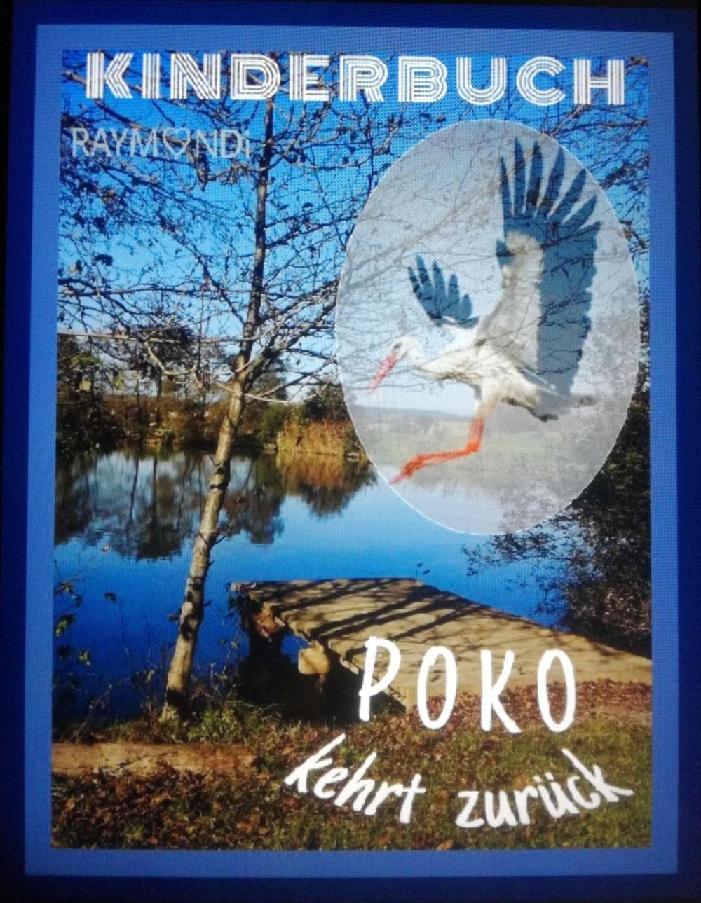 Big bigCover of POKO