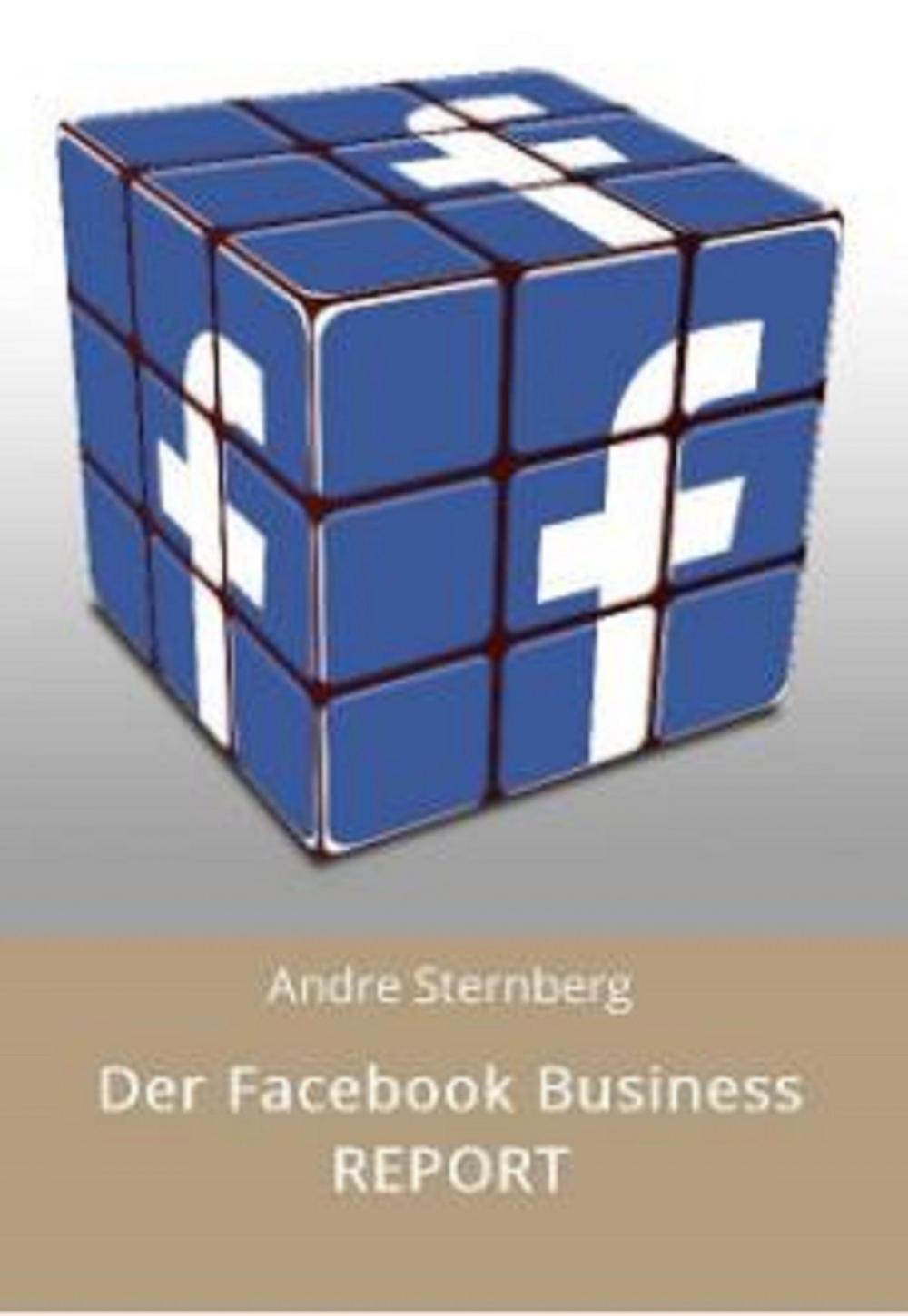 Big bigCover of Der Facebook Business REPORT