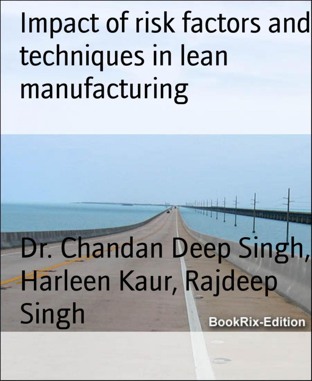 Big bigCover of Impact of risk factors and techniques in lean manufacturing