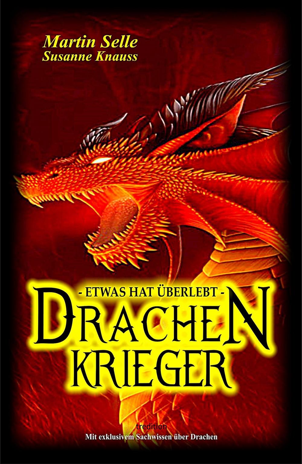 Big bigCover of Drachenkrieger - Etwas hat überlebt ...