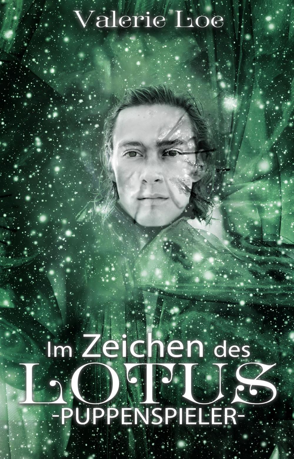 Big bigCover of Im Zeichen des Lotus