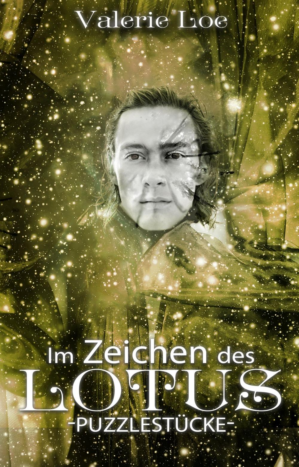 Big bigCover of Im Zeichen des Lotus