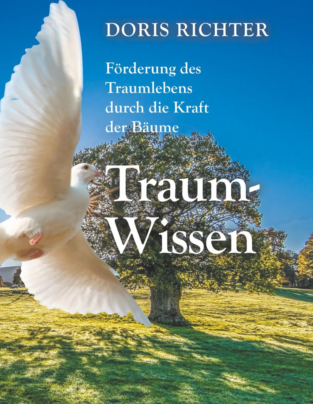 Big bigCover of Traum - Wissen