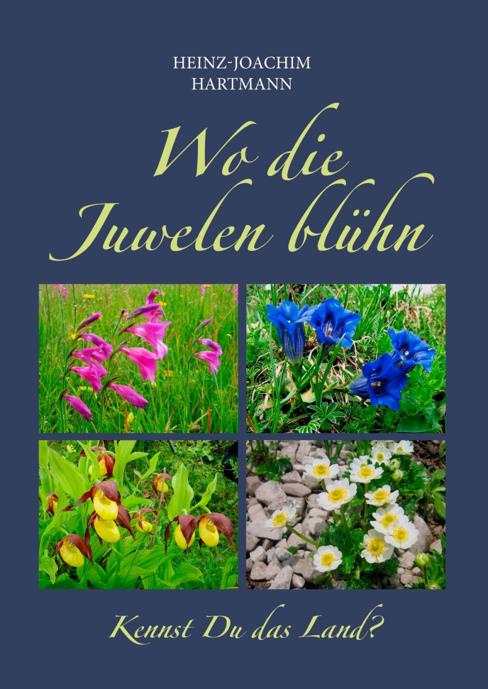 Big bigCover of Wo die Juwelen blühn