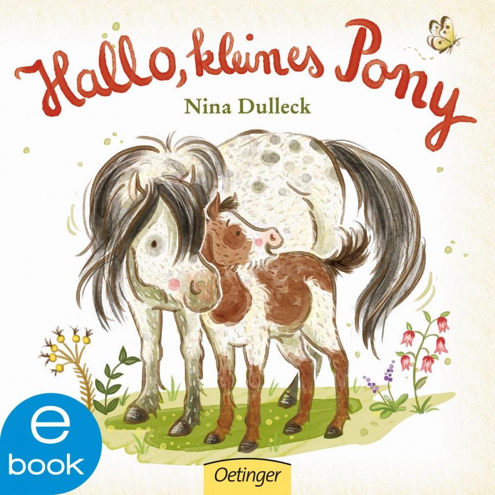 Big bigCover of Hallo, kleines Pony!