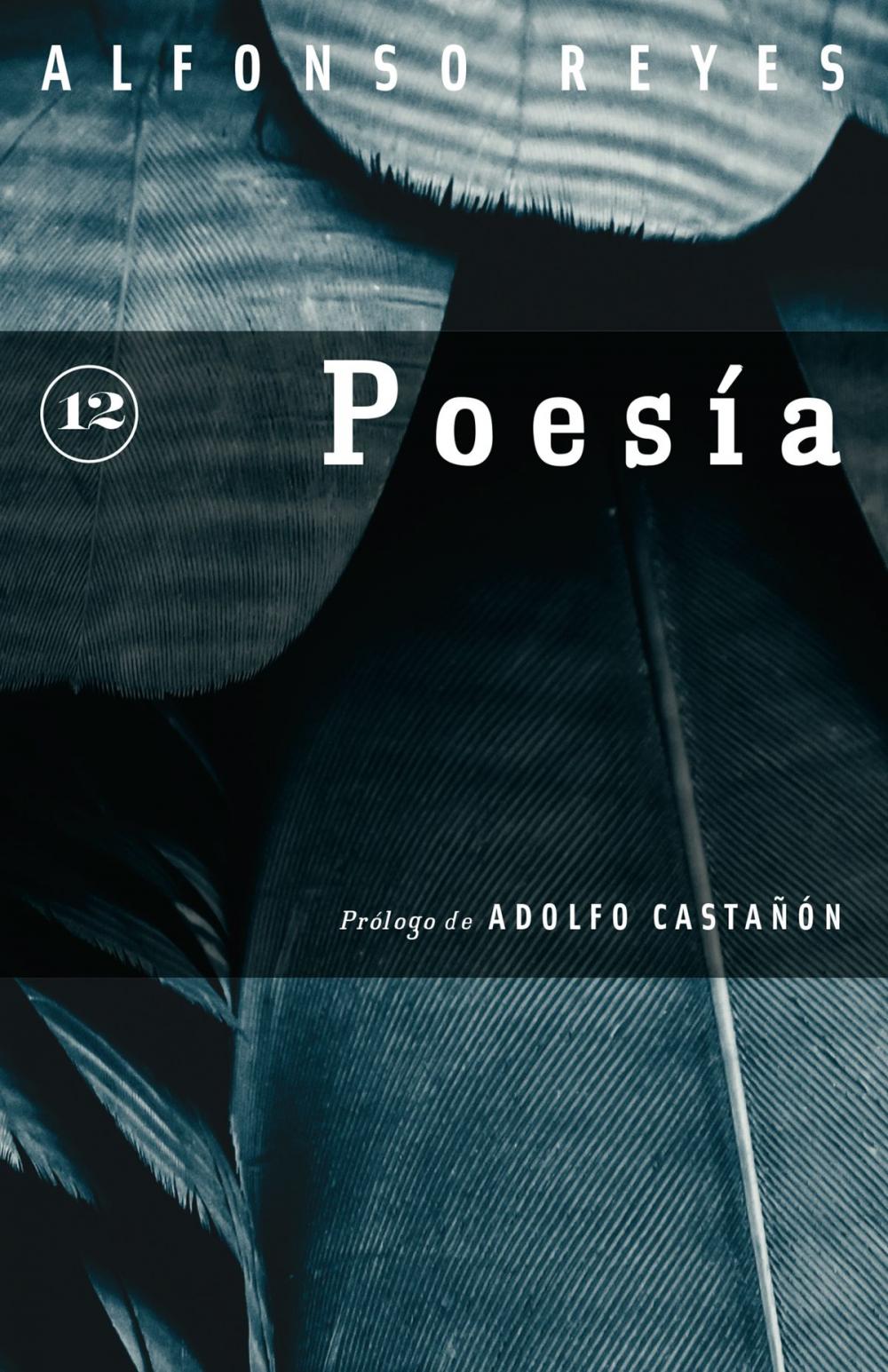 Big bigCover of Poesía