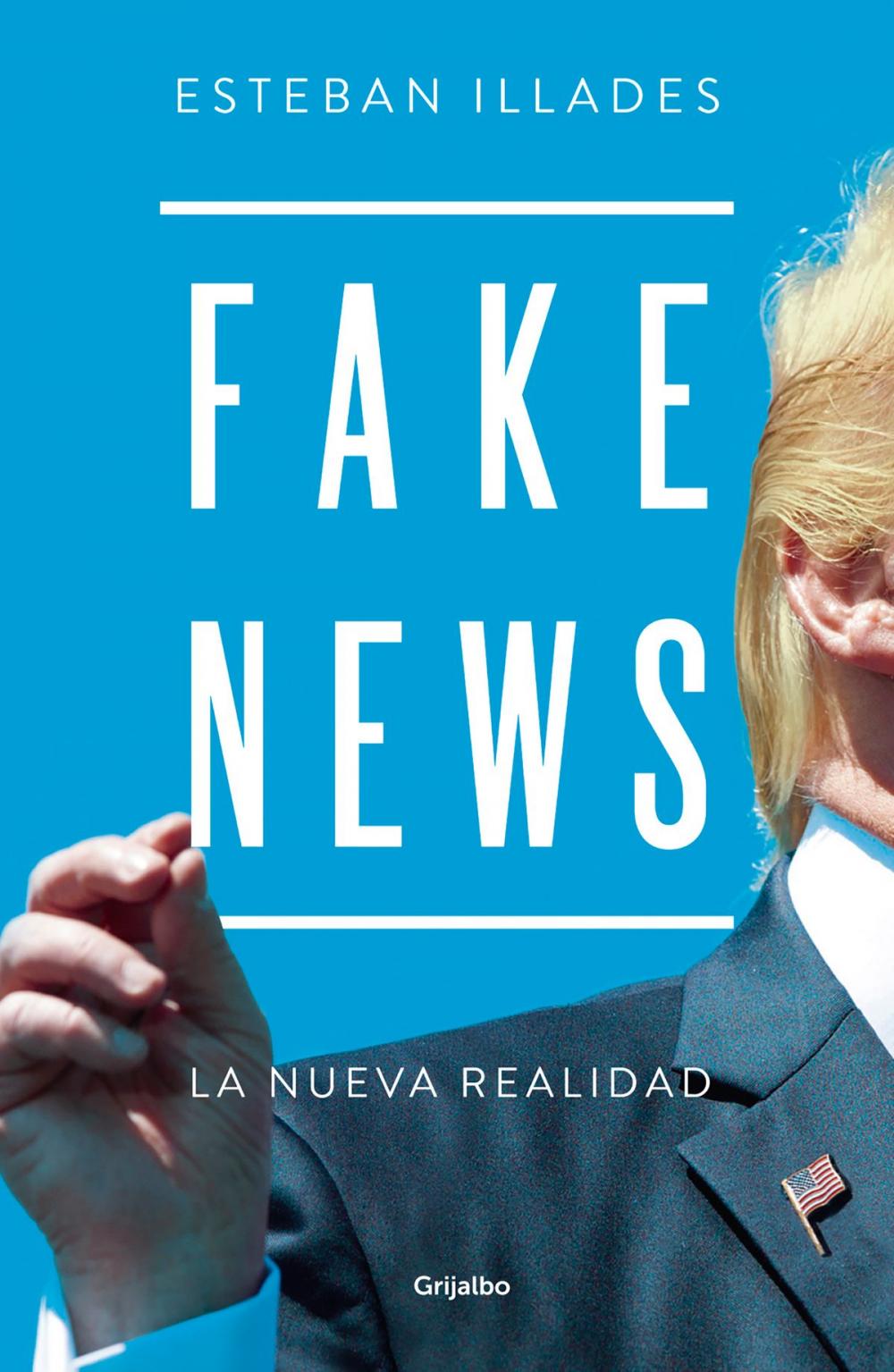 Big bigCover of Fake News