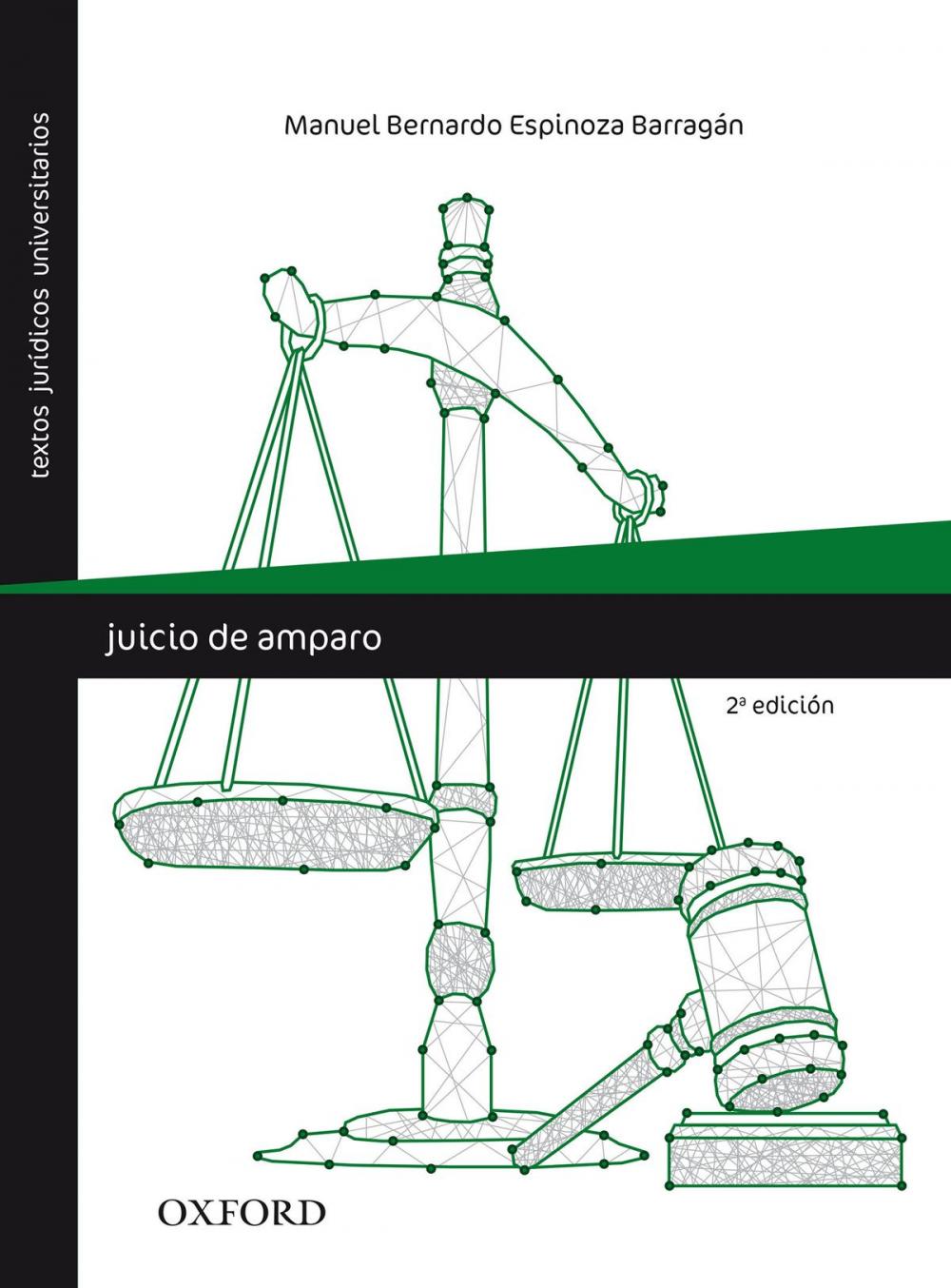 Big bigCover of Juicio de amparo