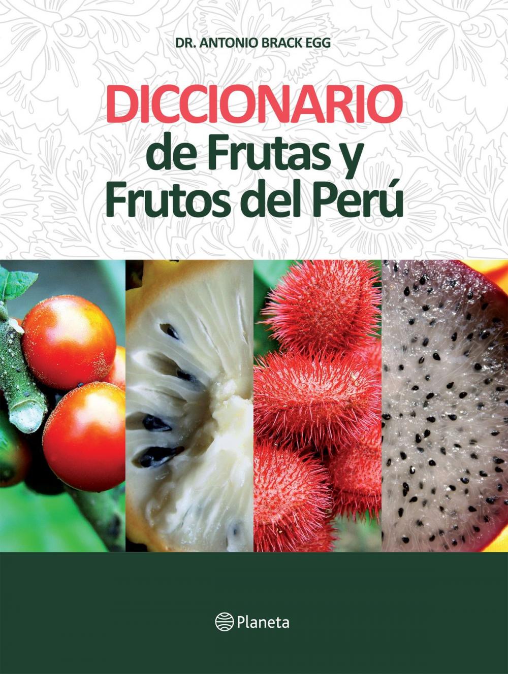 Big bigCover of Diccionario de Frutas y Frutos del Perú