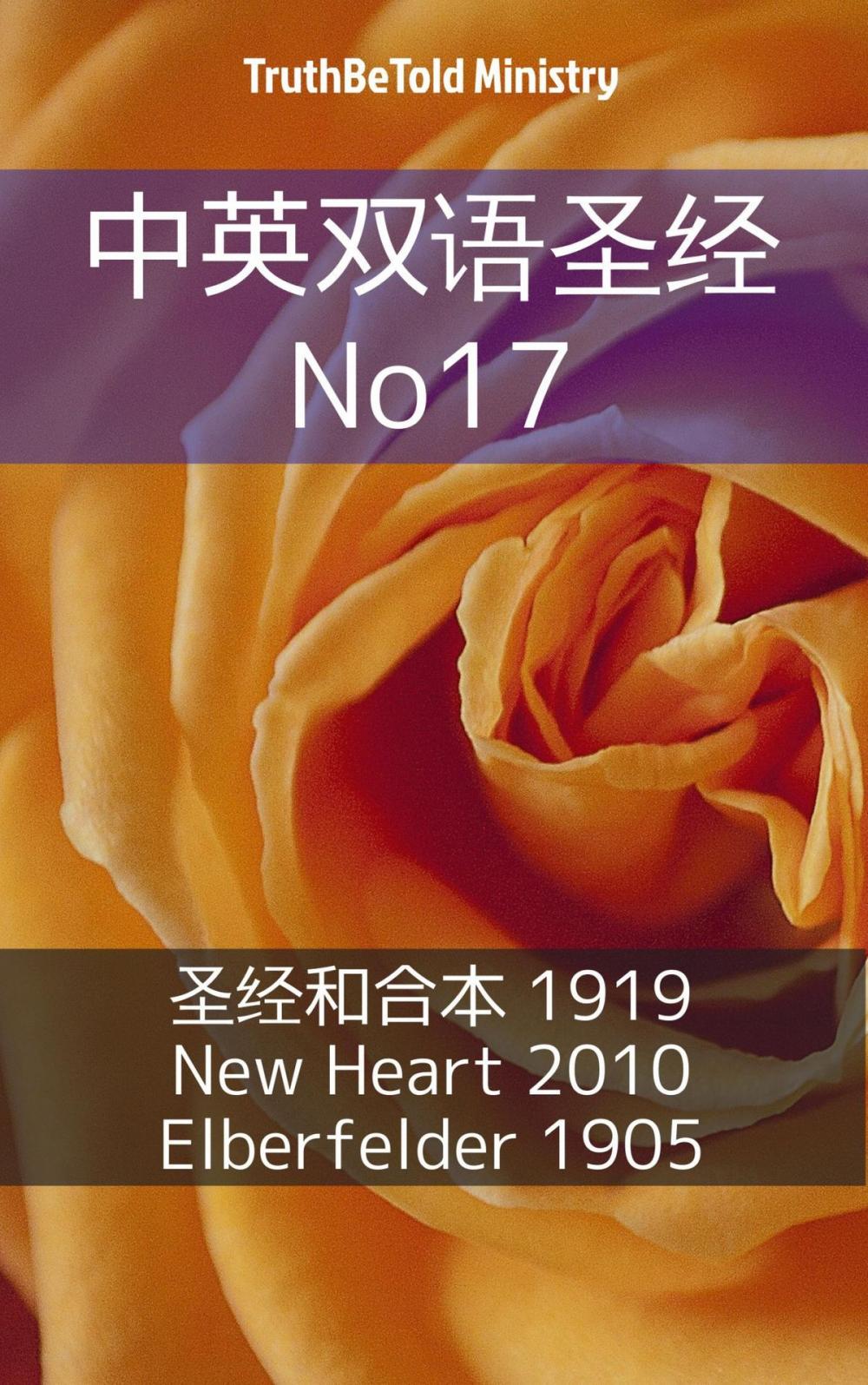 Big bigCover of 中英双语圣经 No17