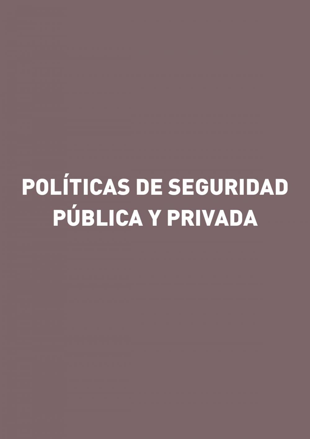 Big bigCover of Políticas de seguridad pública y privada