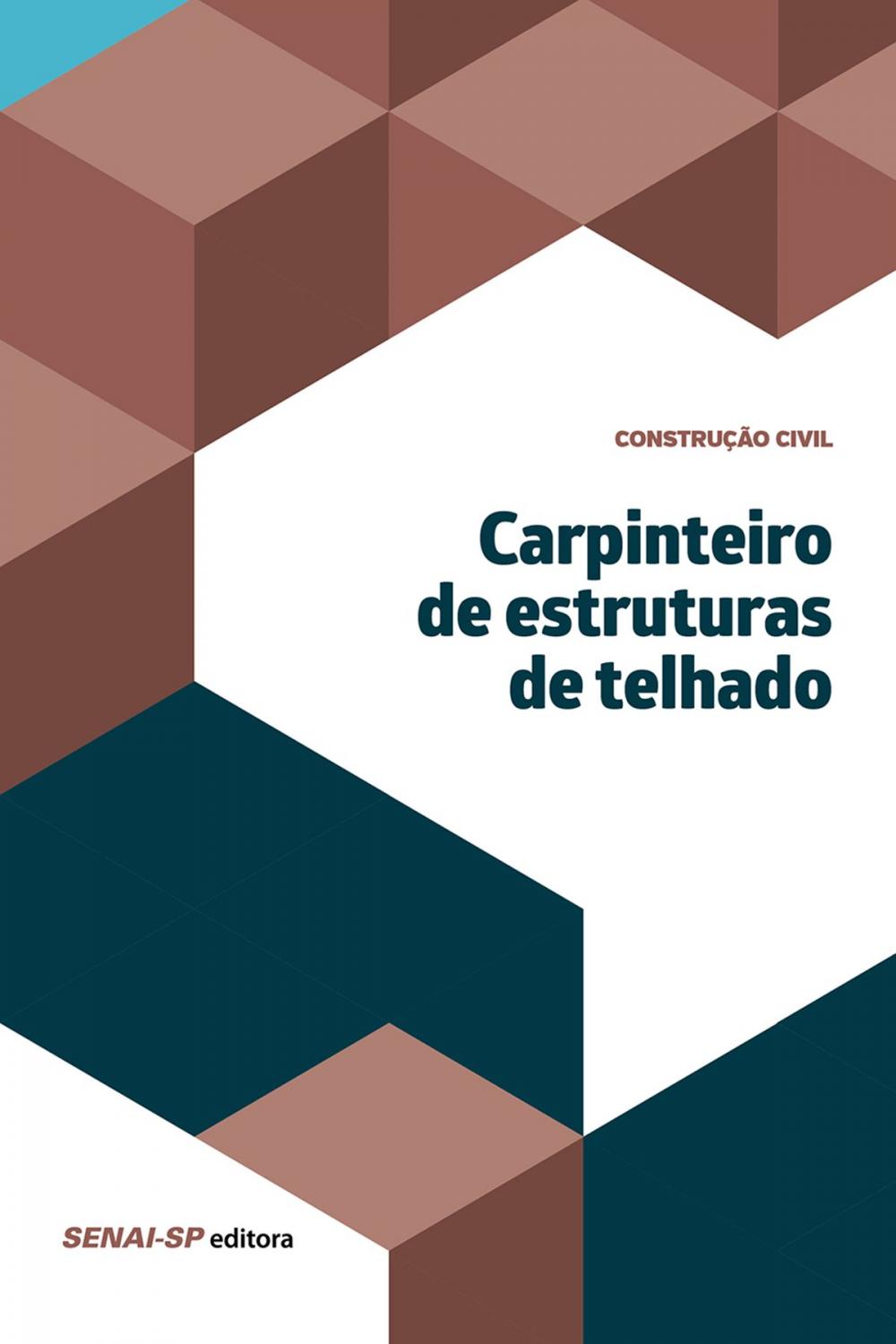 Big bigCover of Carpinteiro de estruturas de telhado