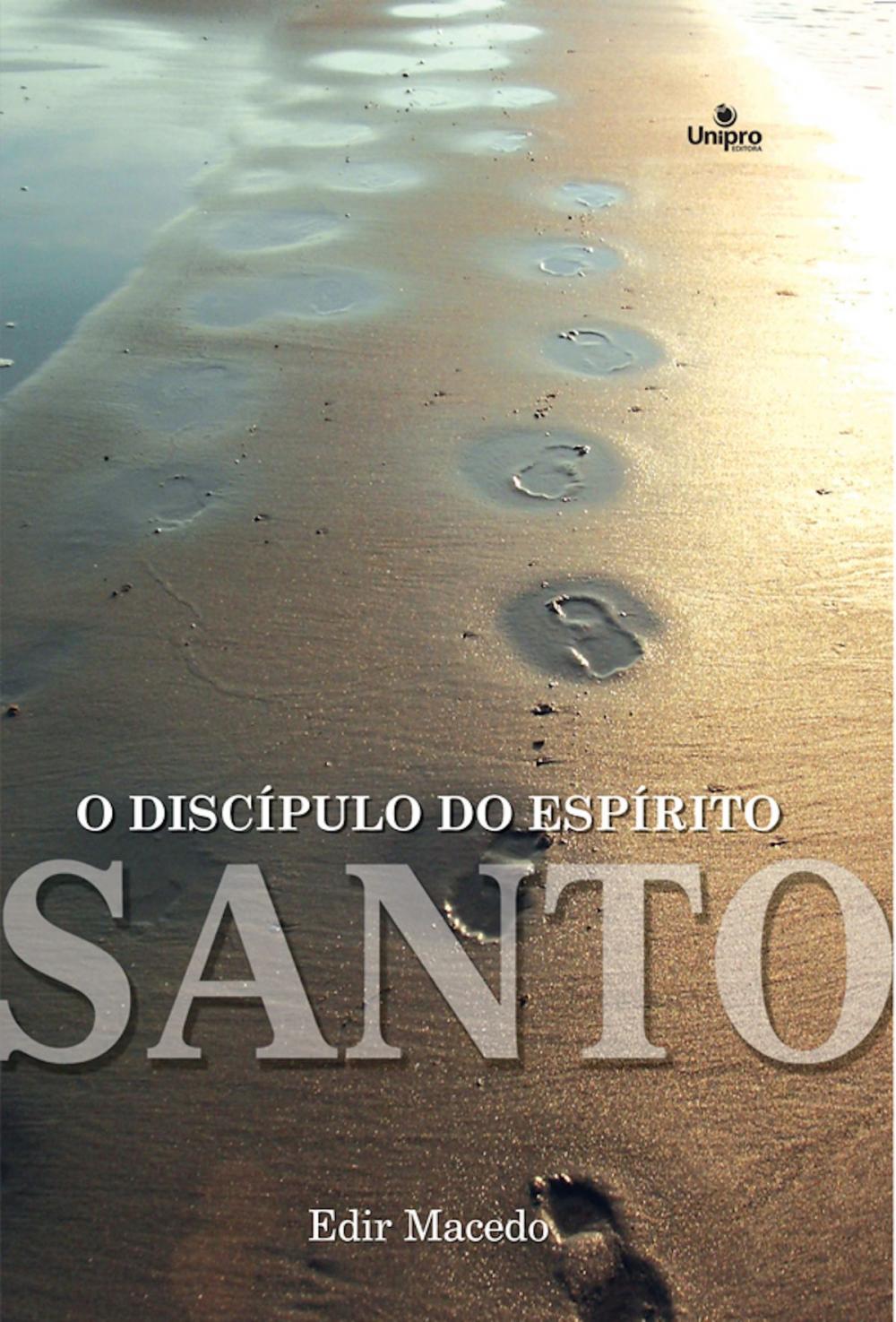 Big bigCover of O discípulo do Espírito Santo