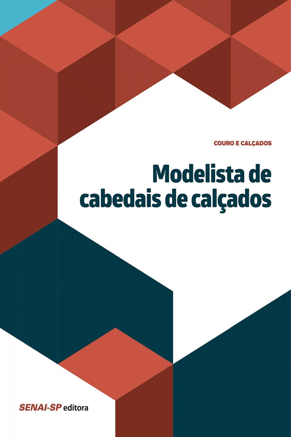 Big bigCover of Modelista de cabedais de calçados