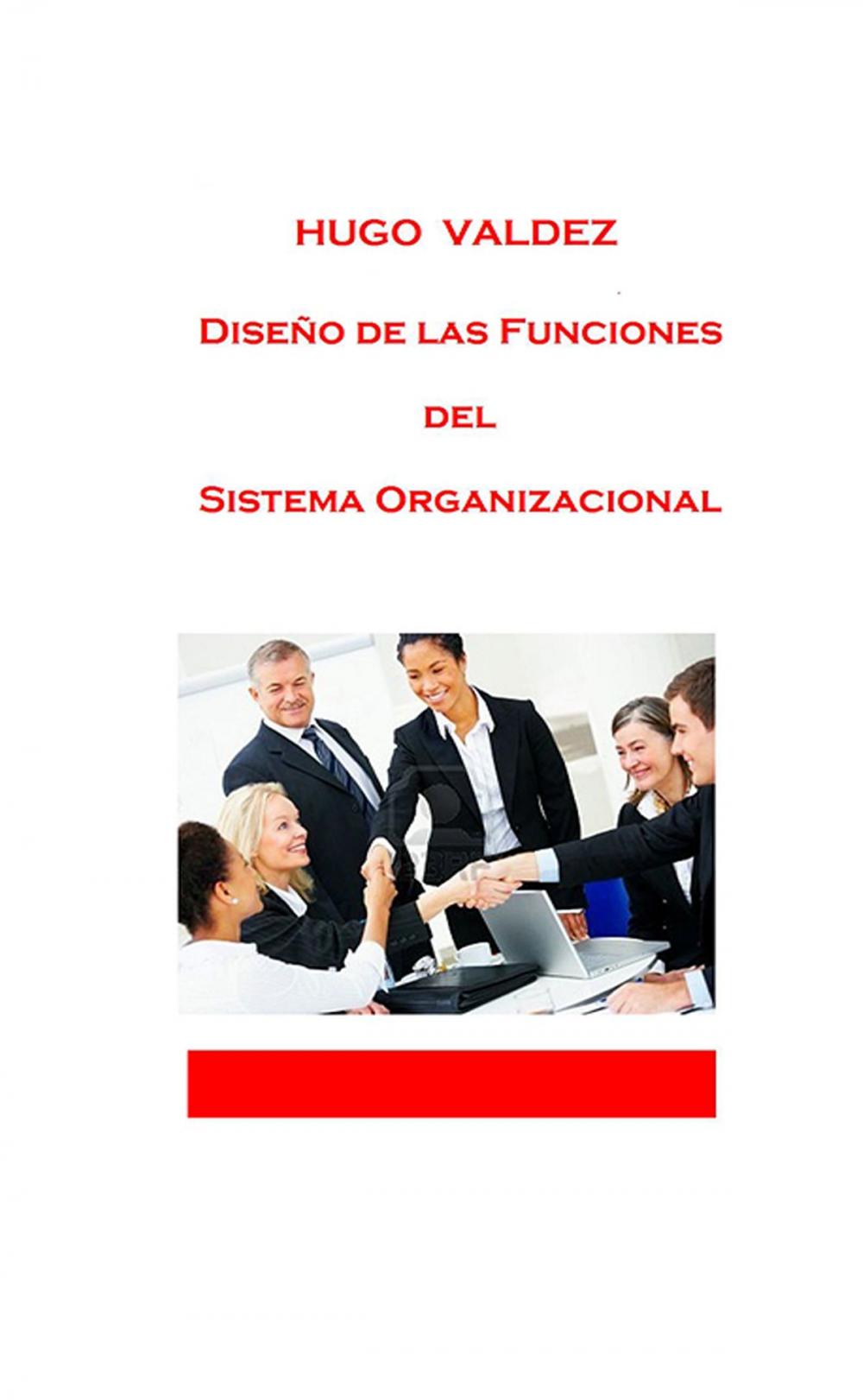 Big bigCover of Diseño de las funciones del sistema organizacional