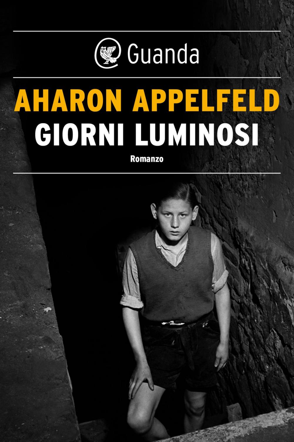 Big bigCover of Giorni luminosi