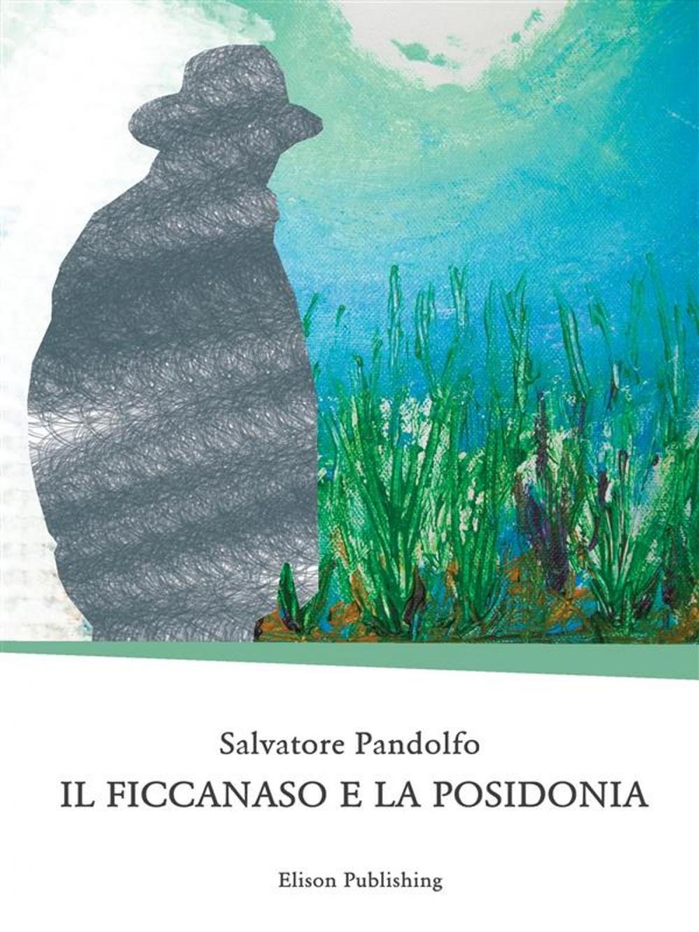 Big bigCover of Il ficcanaso e la posidonia