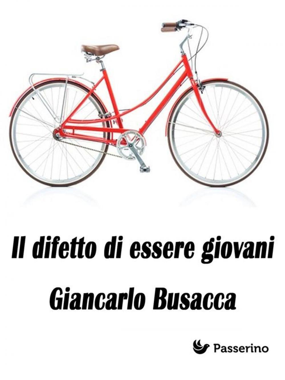 Big bigCover of Il difetto di essere giovani