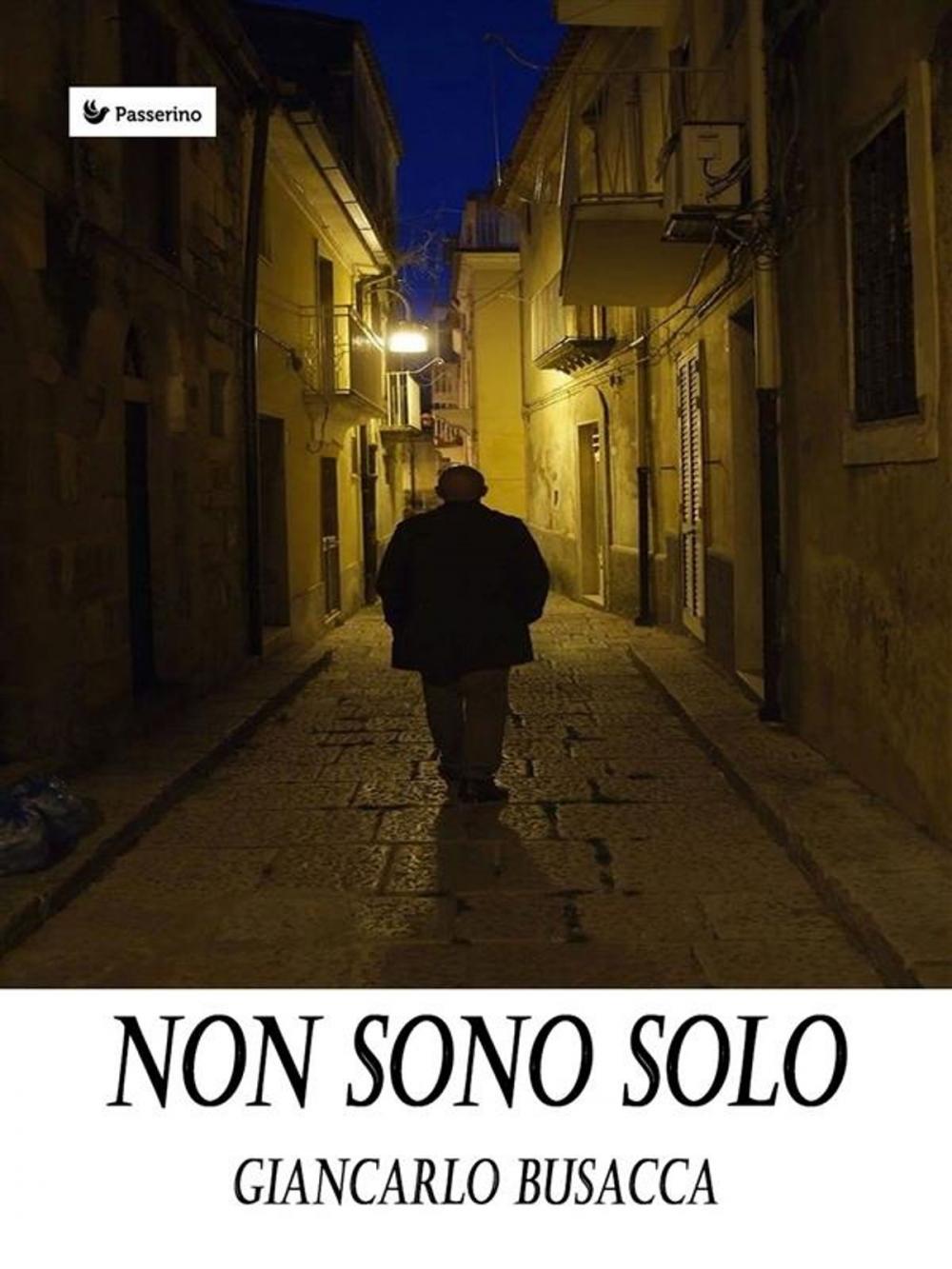 Big bigCover of Non sono solo