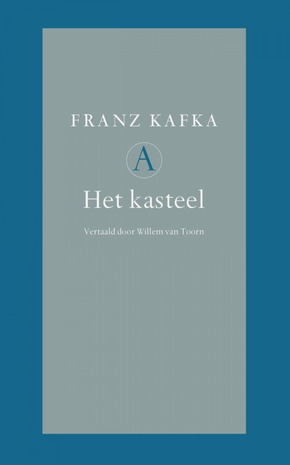 Big bigCover of Het kasteel