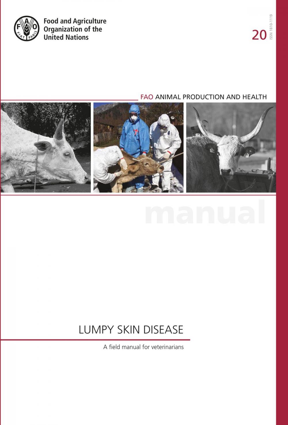 Big bigCover of Lumpy Skin Disease: A Field Manual for Veterinarians